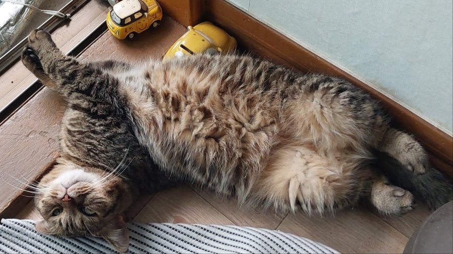 츮 