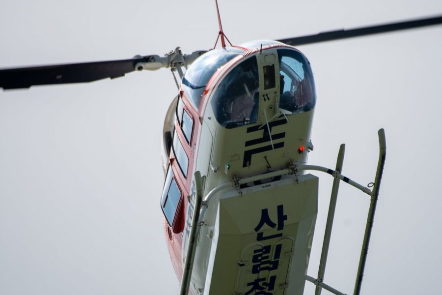 bell-206 긲û  ҹ̻