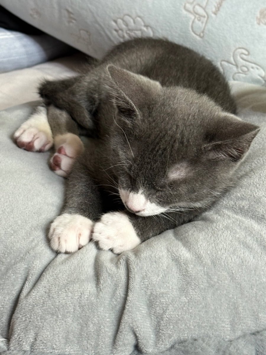 츮   2ź