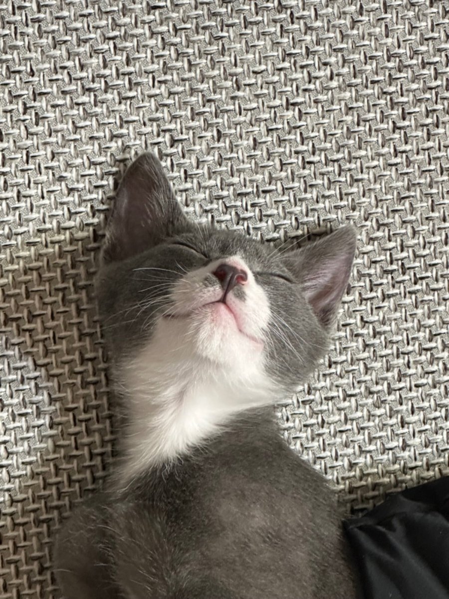 츮   2ź