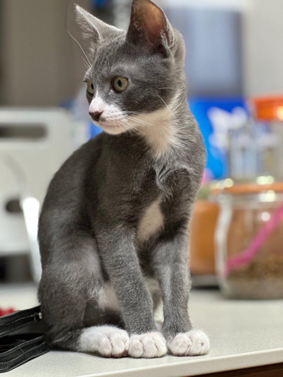 츮   2ź