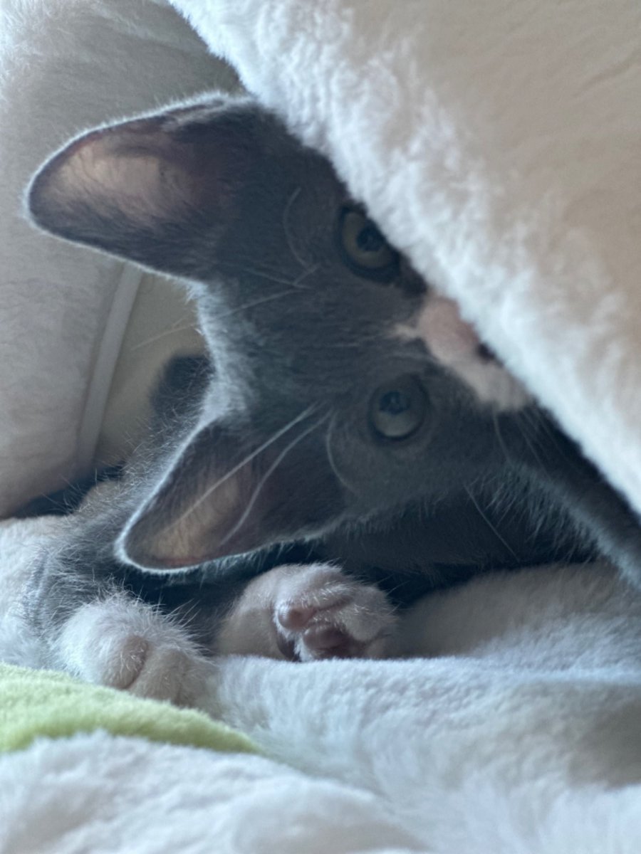 츮   2ź