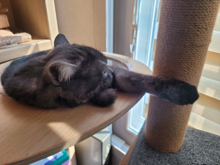 츮 