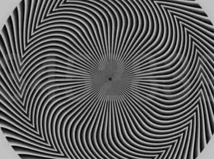 20250530134440_yXhyloZBMQ.jpg