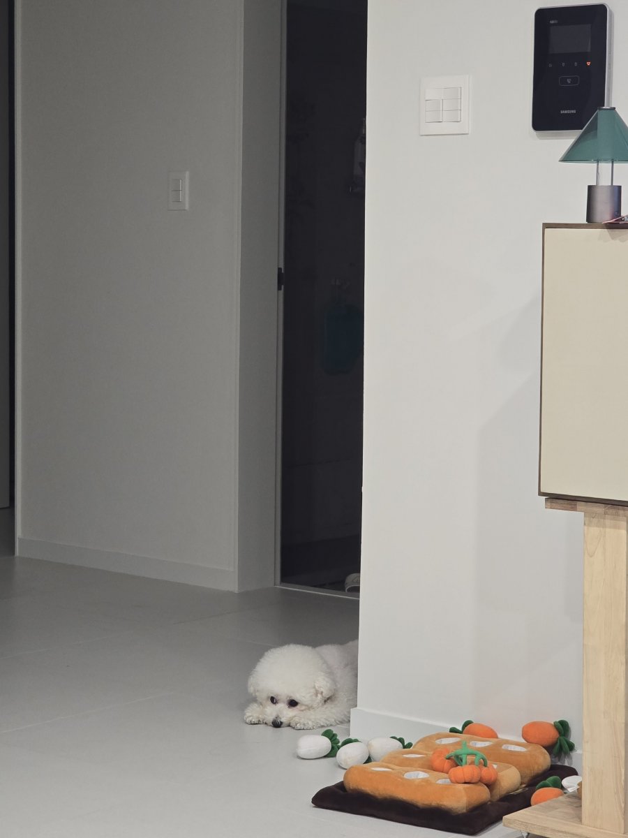ƺ. ?