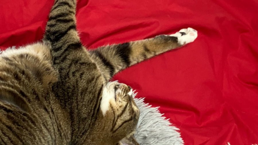  ù°