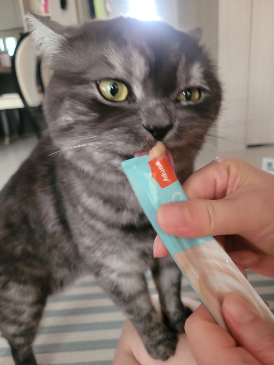 츮 