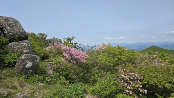 20250530_135557.jpg