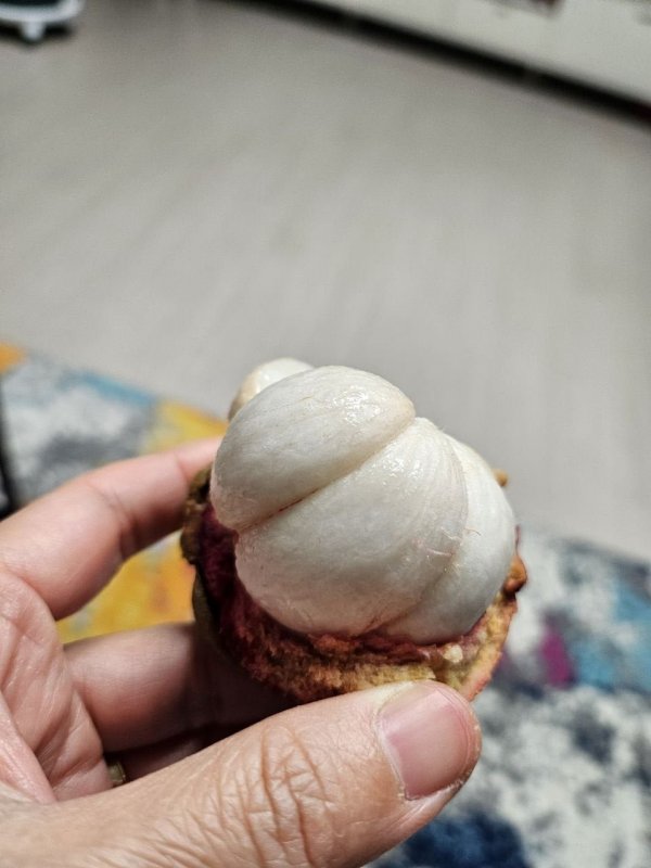 망고스틴