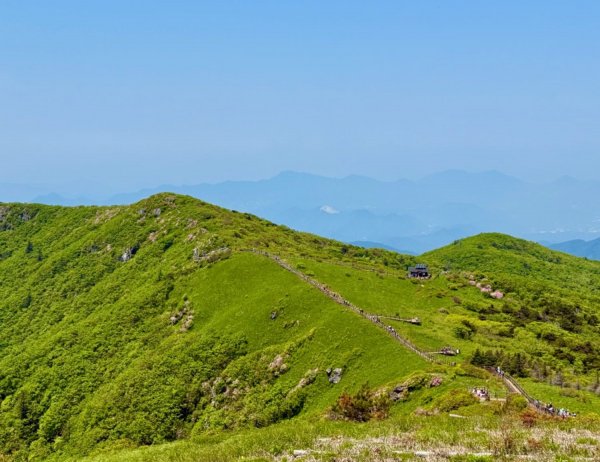 한국의 알프스에서 연분홍 철쭉 산행