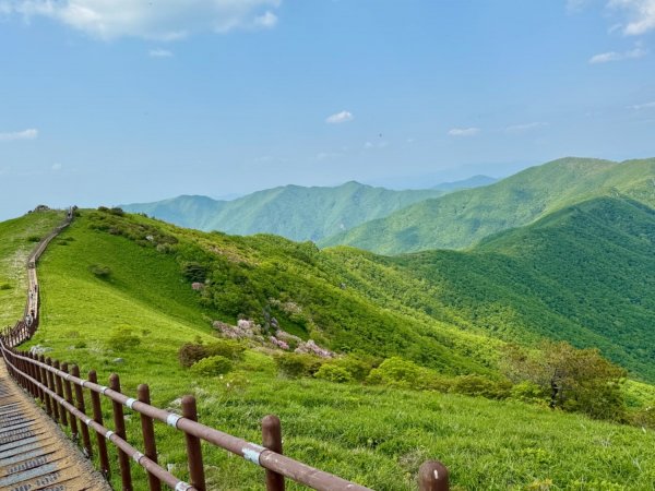 한국의 알프스에서 연분홍 철쭉 산행