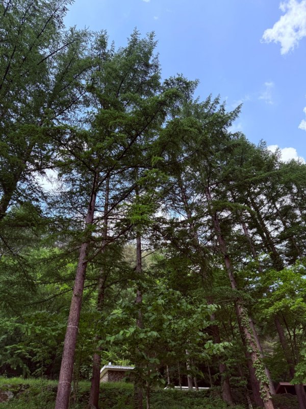 수목원