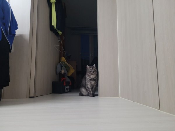 우리집 깜지