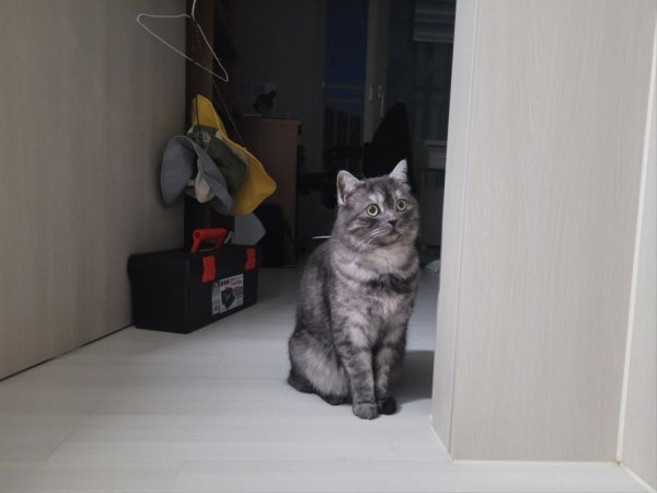 우리집 깜지