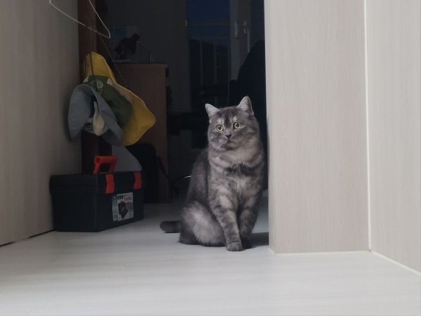 우리집 깜지