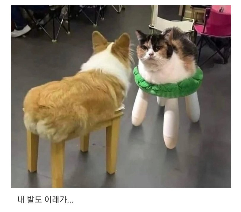 20250604224354_w8bEmbLCKO.jpg