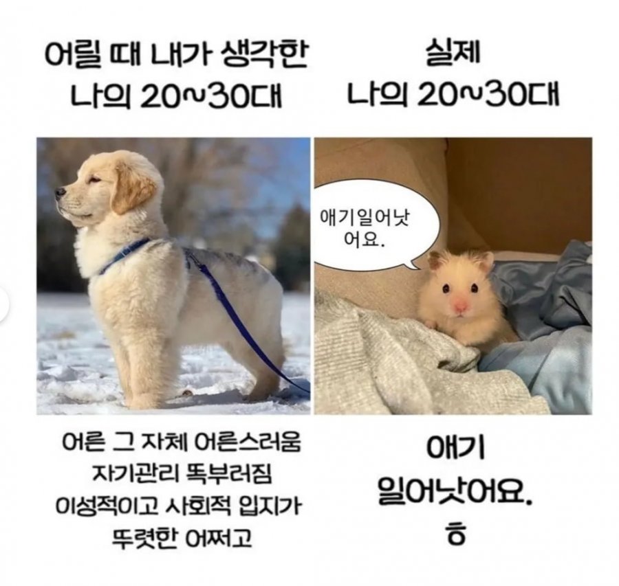 20250604162139_9GbcujmgXL.png