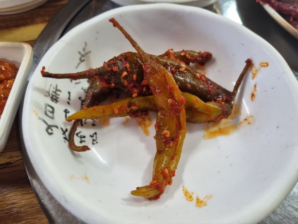 방금 지인이랑 먹은 쌩고기랑 김치찌개입니다