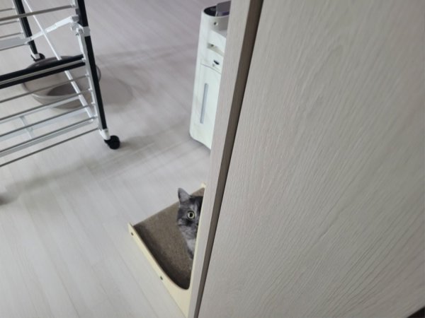 우리집 깜지