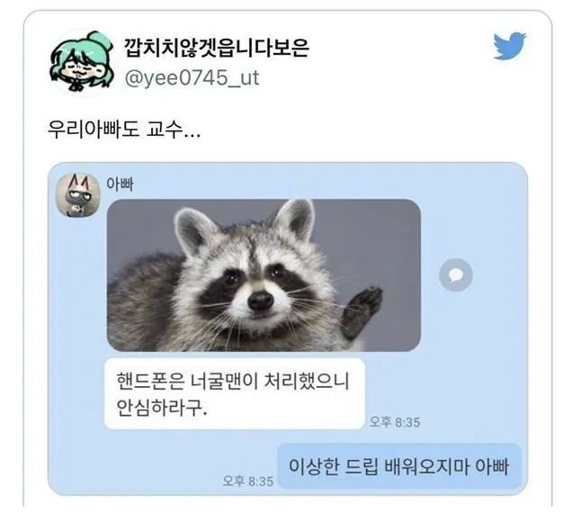 20250605134603_JpYmr8welN.jpeg