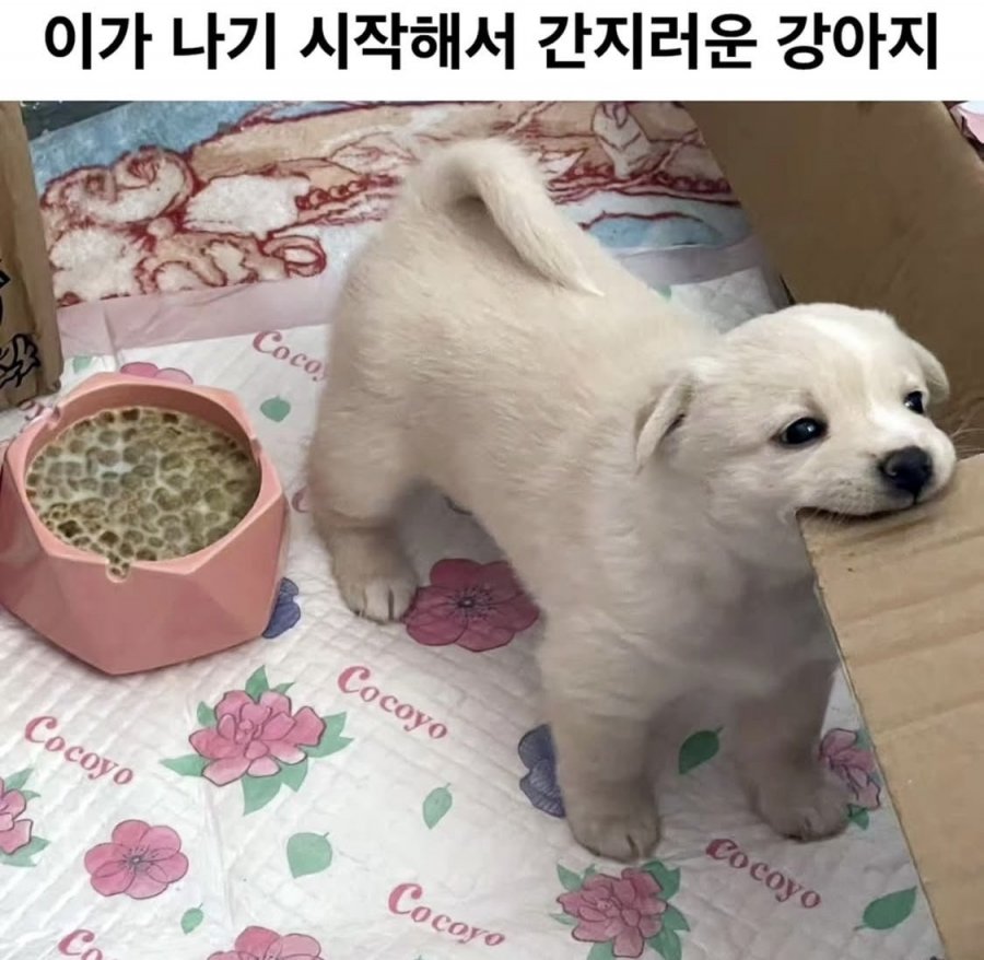 20250605192047_v5A5FJ2ljh.jpeg