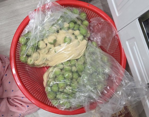 매실청 담갔어요!
