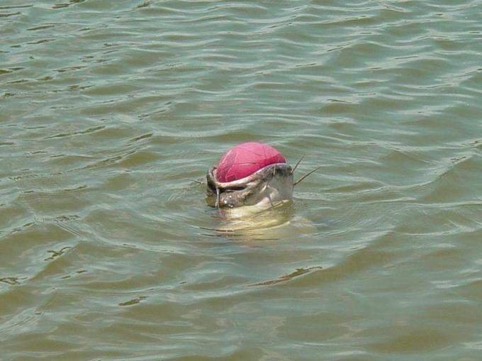 20250606071443_53z7yvH6Lx.jpg