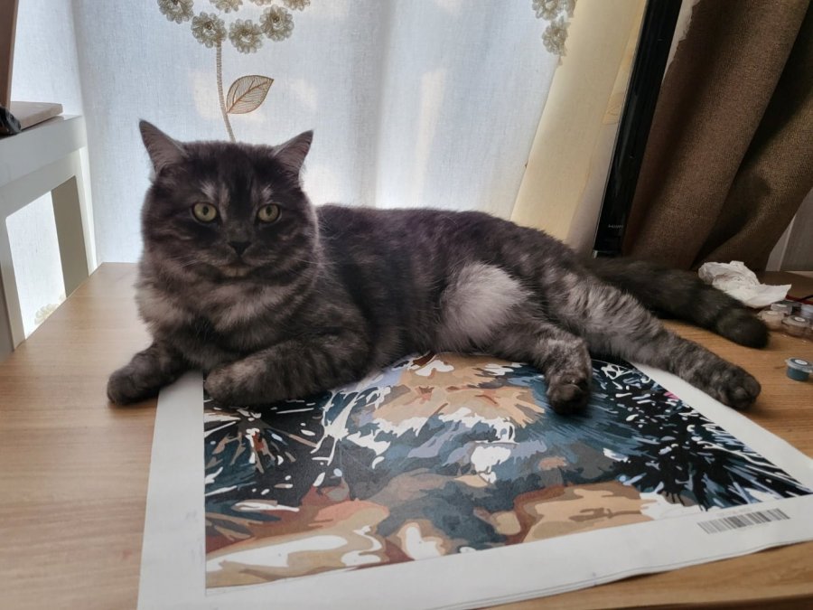 츮 