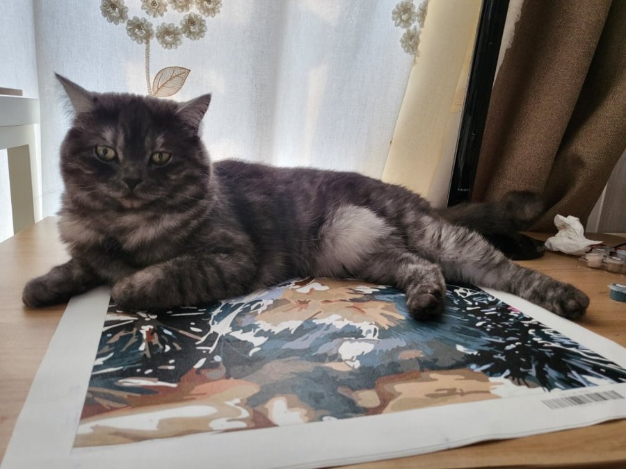 츮 