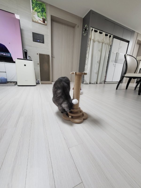 우리집 깜지