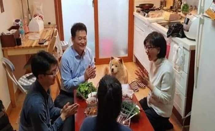 20250607222229_llhUxUhbZq.jpg