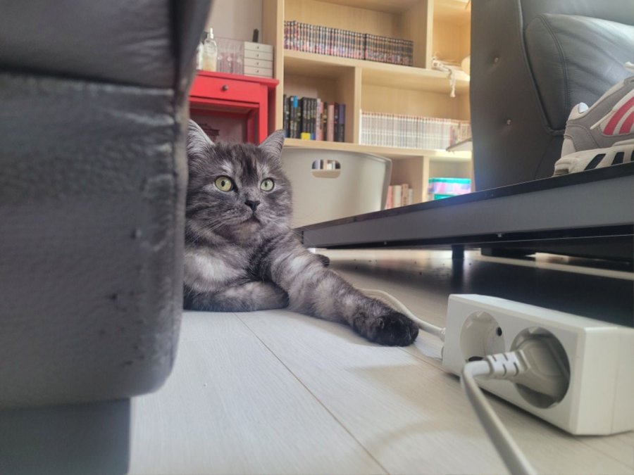 츮 