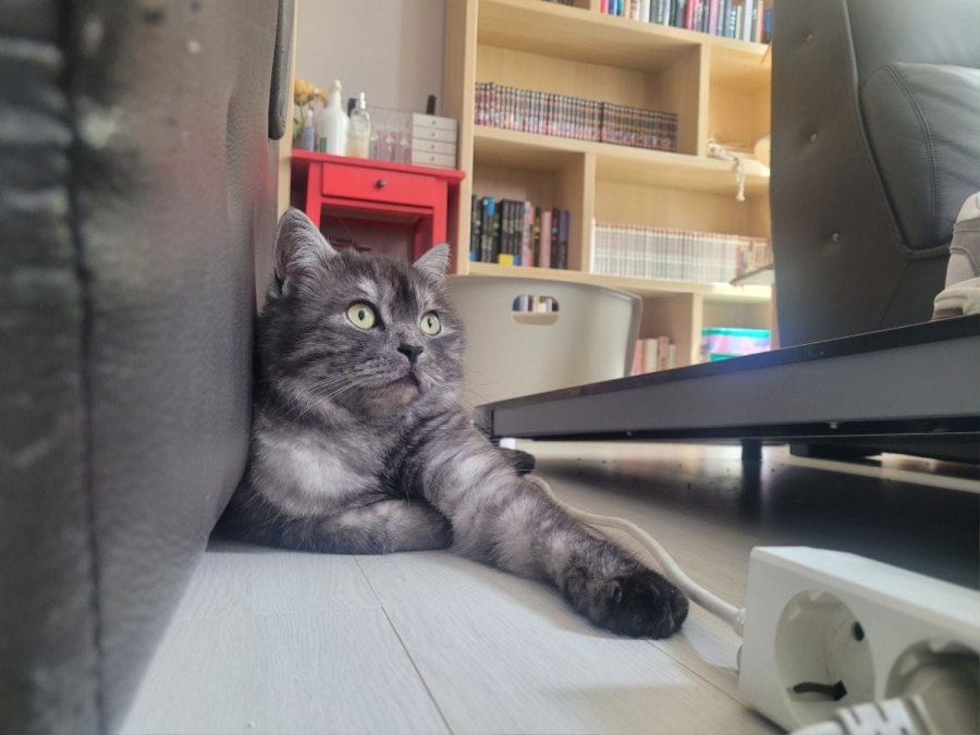 츮 
