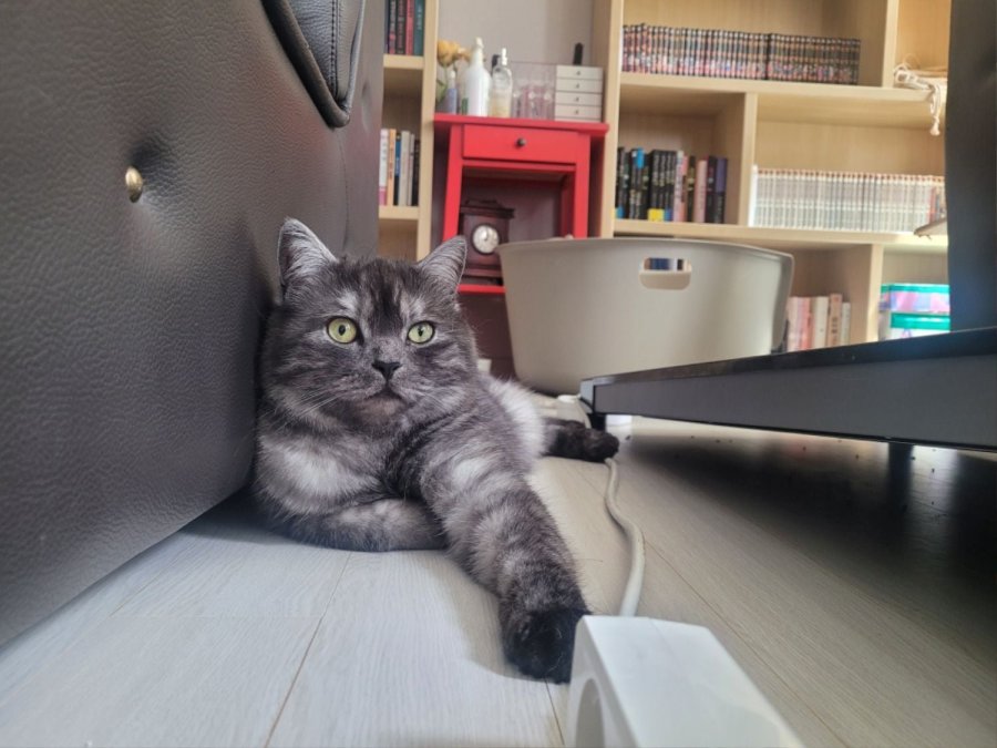 츮 