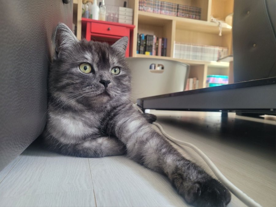 츮 