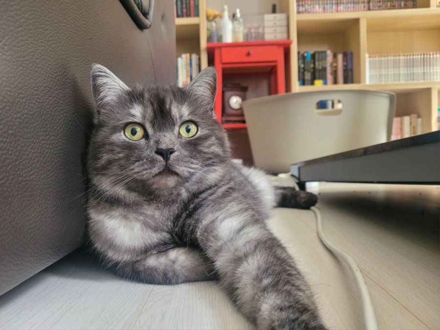 츮 