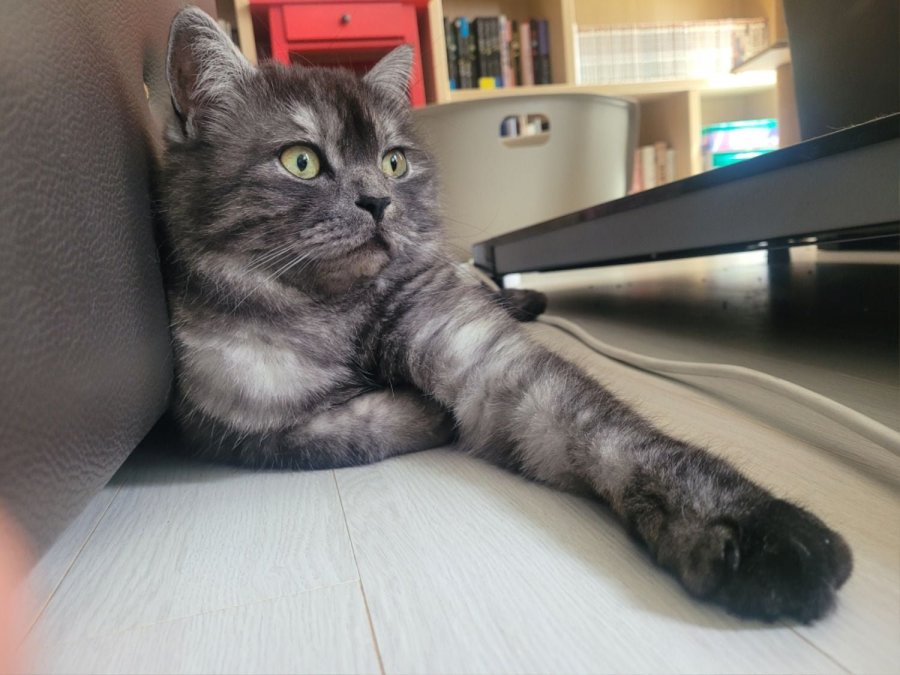 츮 