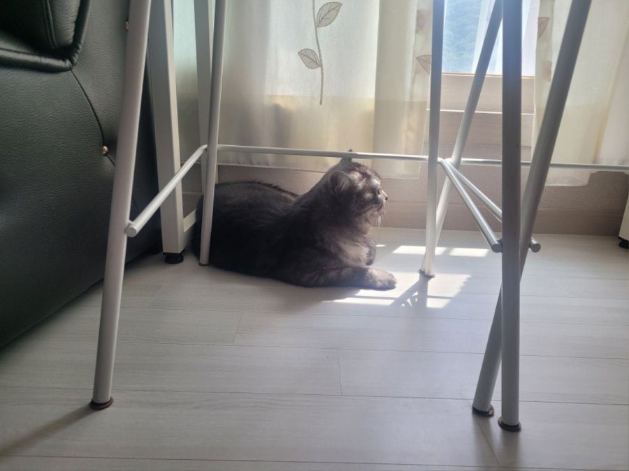 츮 