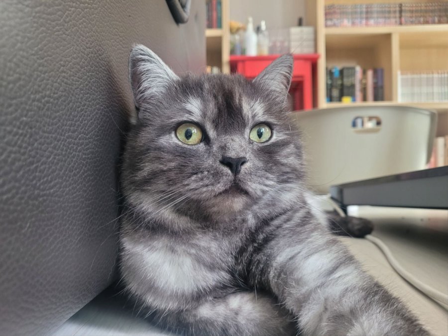 츮 