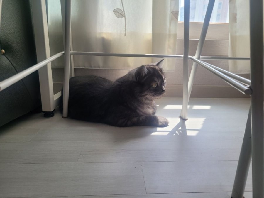 츮 