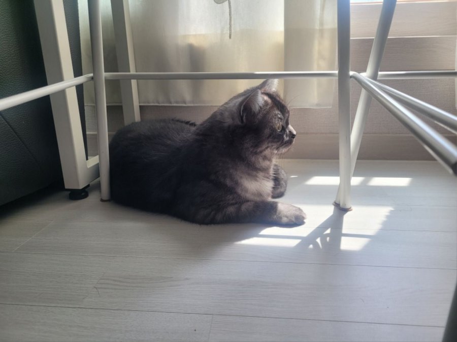 츮 