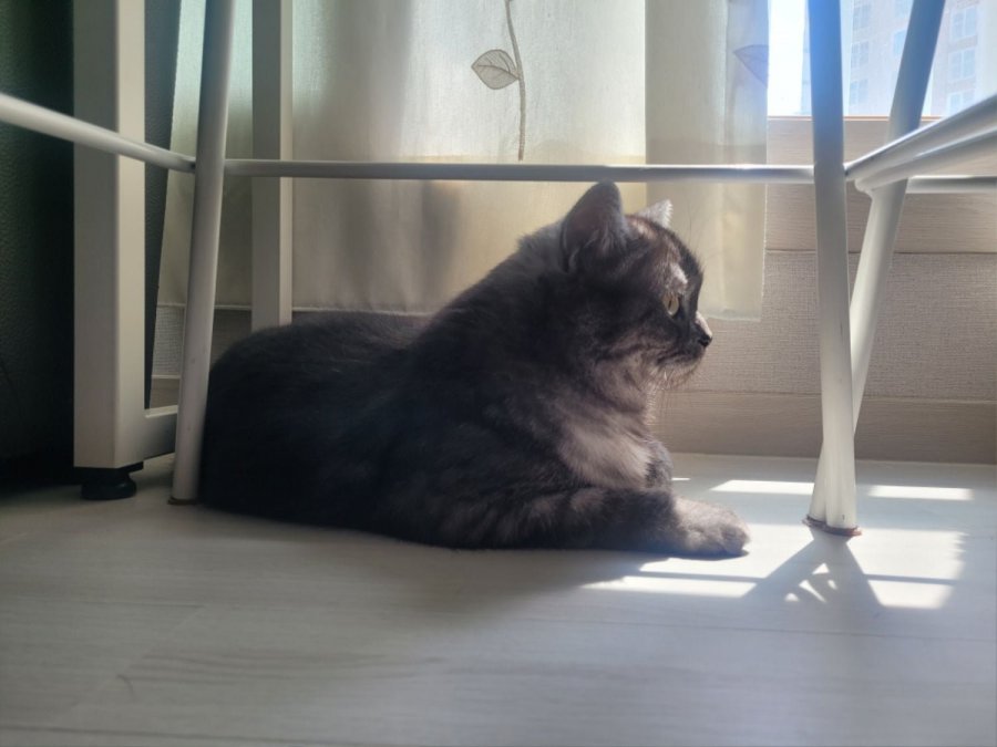 츮 