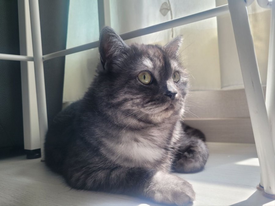츮 