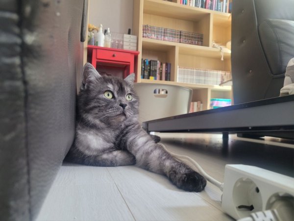 우리집 깜지