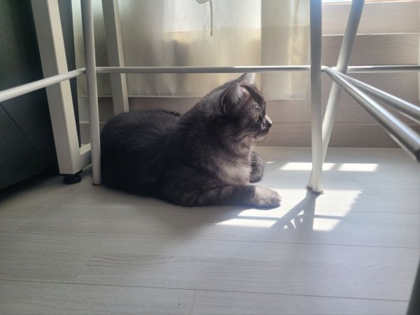 우리집 깜지
