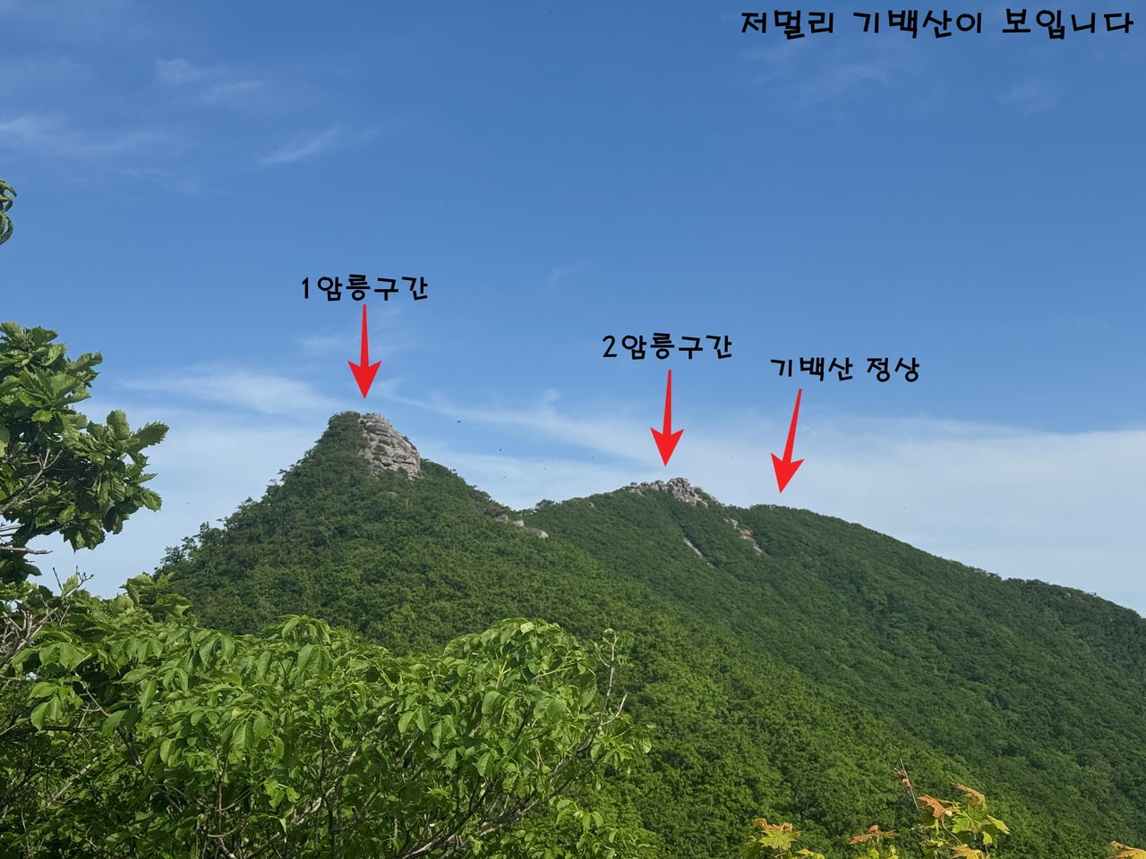 20250608174241_0ArIlP4hK6.jpg