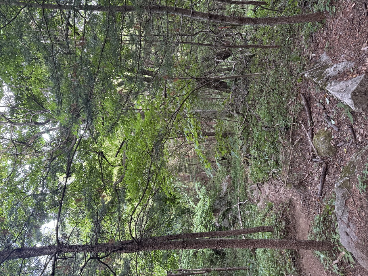 20250608174446_rEp2BaQc45.jpg