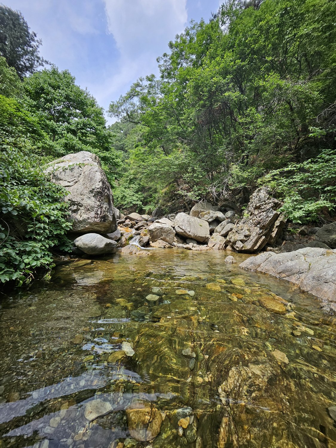 20250608143150_oWEPIXmH0l.jpg