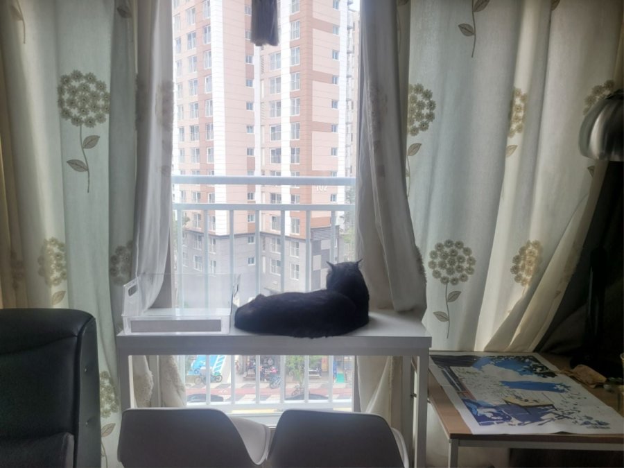 츮 