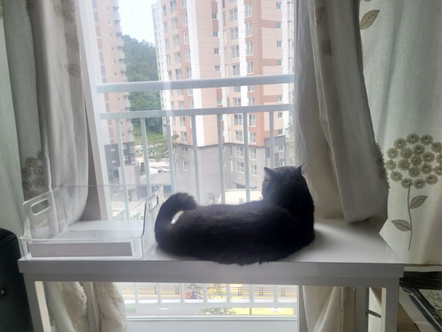 츮 